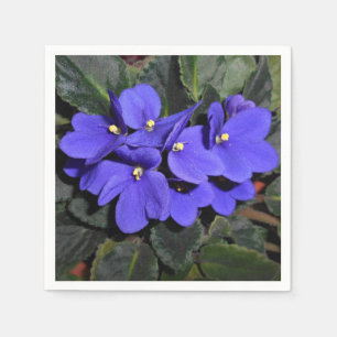 Guardanapo De Papel Violeta africana dos azuis marinhos