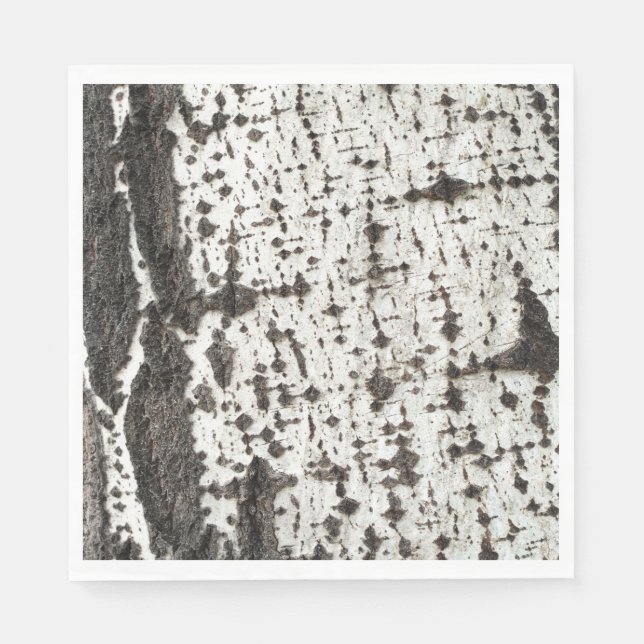 Guardanapo De Papel Weathered birch trunk (Frente)