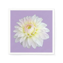 White and yellow flower