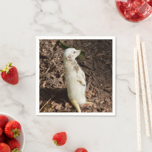 Guardanapo De Papel White Meerkat Standby , Partido do Papel Napkins