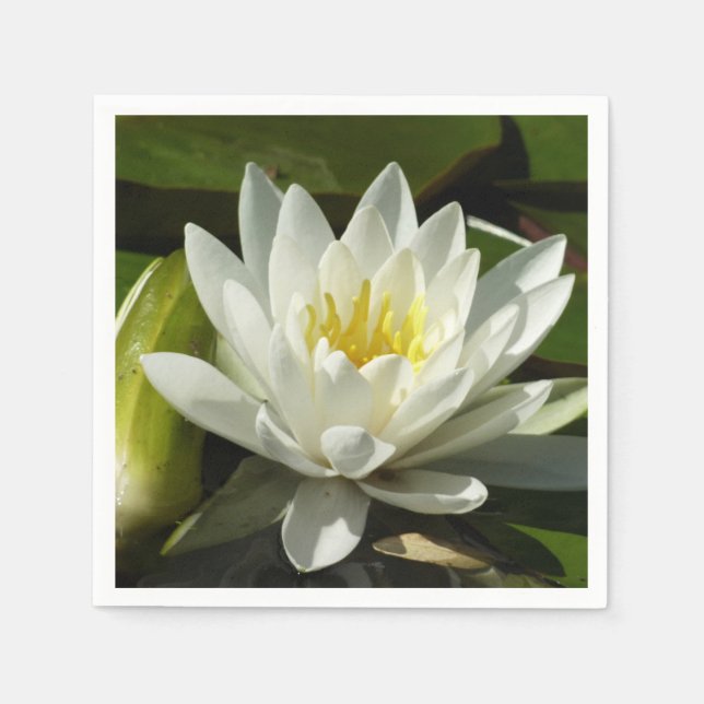 Guardanapo De Papel White Waterlily e Bud Floral (Frente)