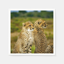 Guardanapo De Papel Wildlife Cheetah Photo