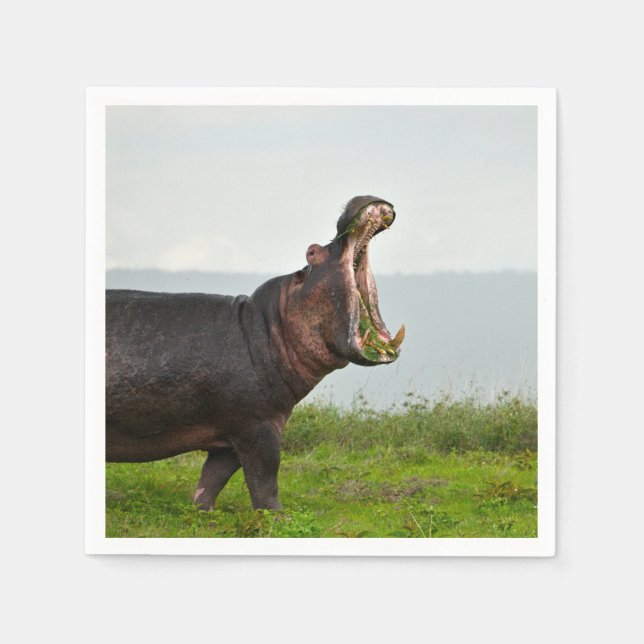 Guardanapo De Papel Wildlife Hippopotamus Photo (Frente)