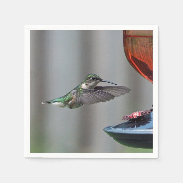 Guardanapo De Papel Wildlife Hummingbird Red Feeder Photo (Frente)
