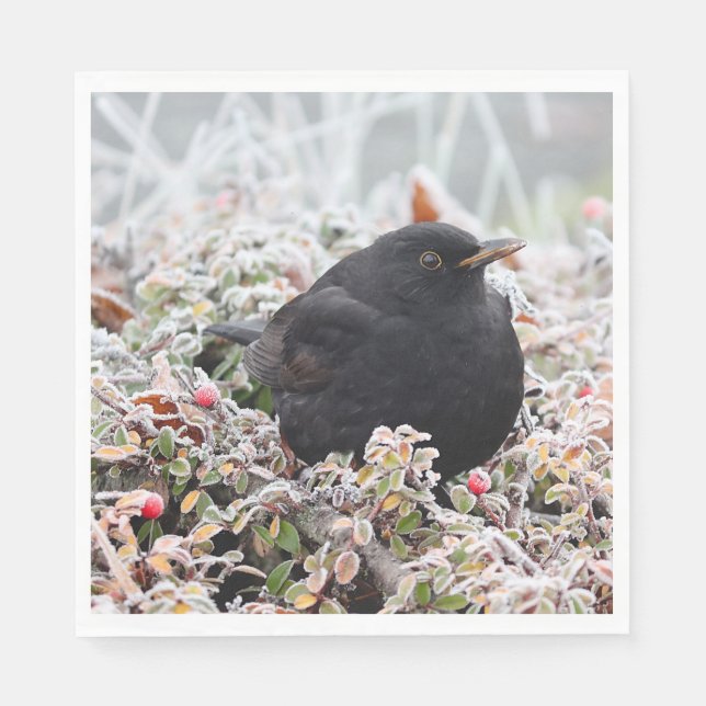 Guardanapo De Papel Winter Blackbird (Frente)