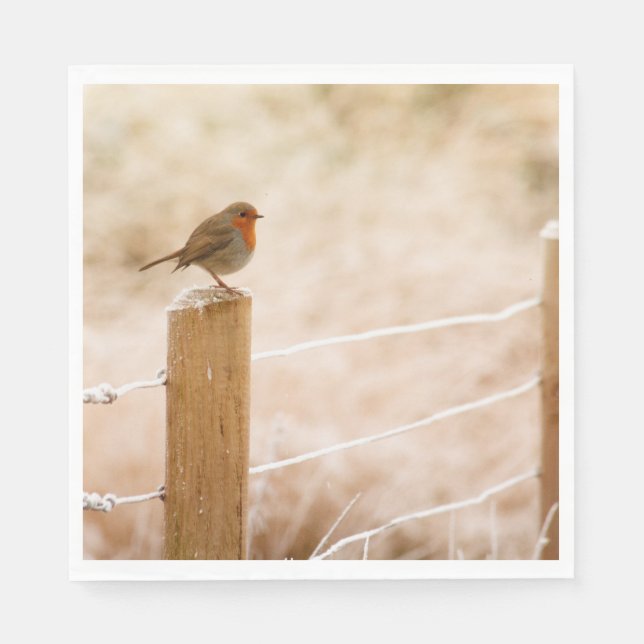 Guardanapo De Papel Winter Robin Redbreast (Frente)