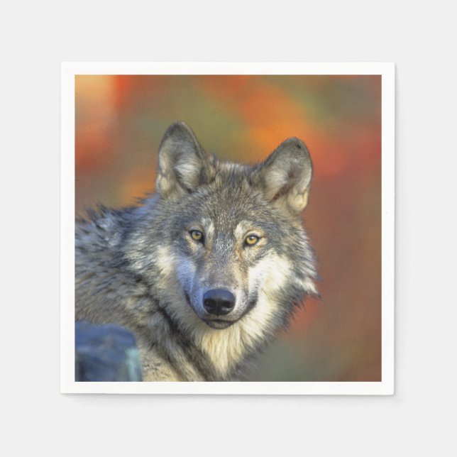 Guardanapo De Papel Wolf_2015_0301 (Frente)