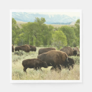 Guardanapo De Papel Wyoming Bison Nature