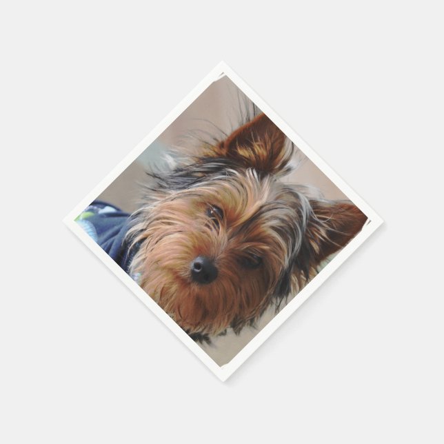 Guardanapo De Papel Yorkshire Terrier (Canto)
