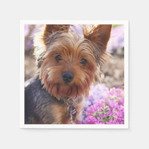 Guardanapo De Papel Yorkshire Terrier