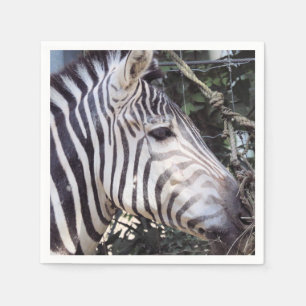 Guardanapo De Papel Zebra
