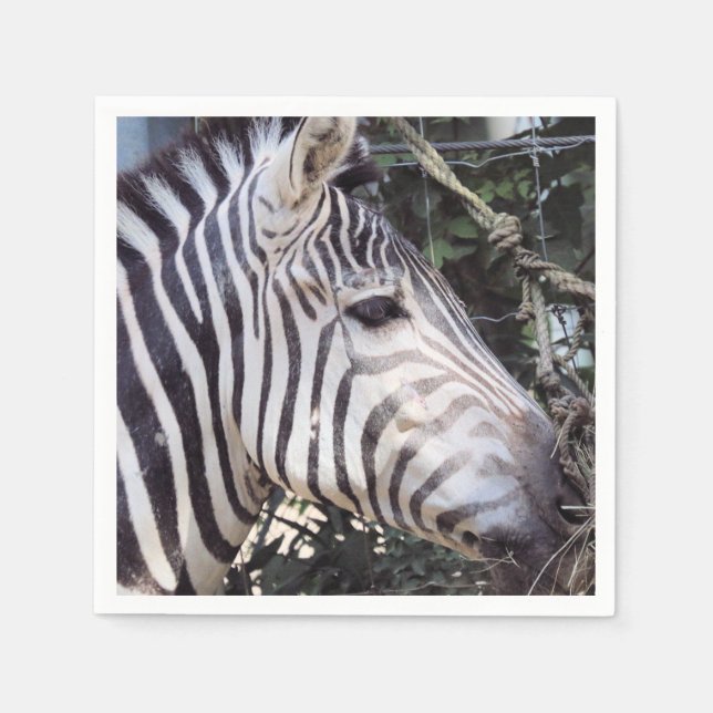 Guardanapo De Papel Zebra (Frente)