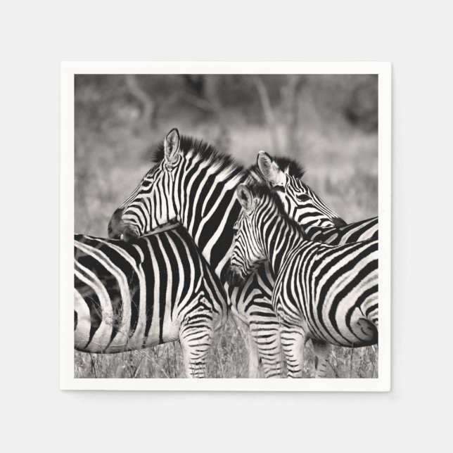 Guardanapo De Papel Zebra Herdeira Nature Safari Black and White Strip (Frente)