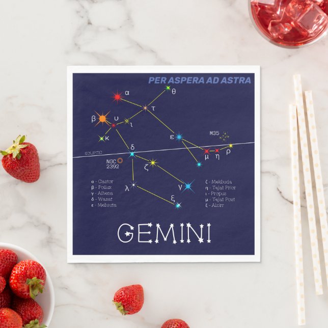 Guardanapo De Papel Zodiac Constelação Gemini (Insitu)