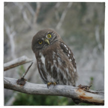 Norte Pygmy Owl Cloth Napkin