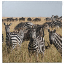 Zebra Cloth Napkin de Grant