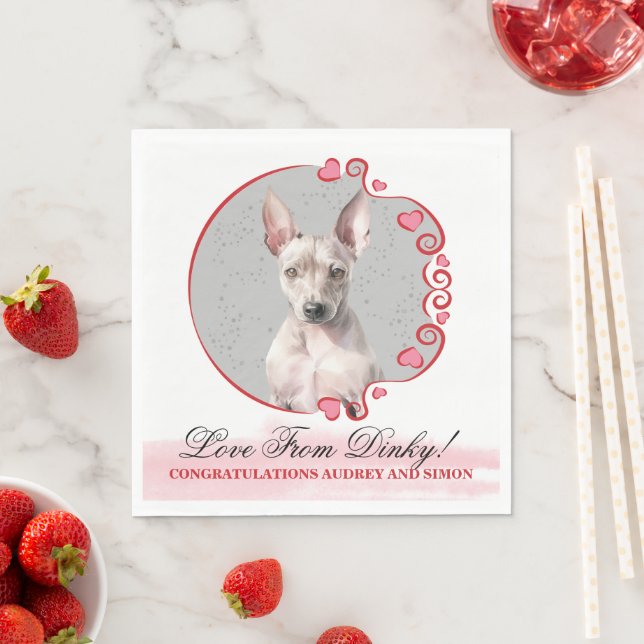 Guardanapos American Hairless Terrier Com Foto de  (Insitu)