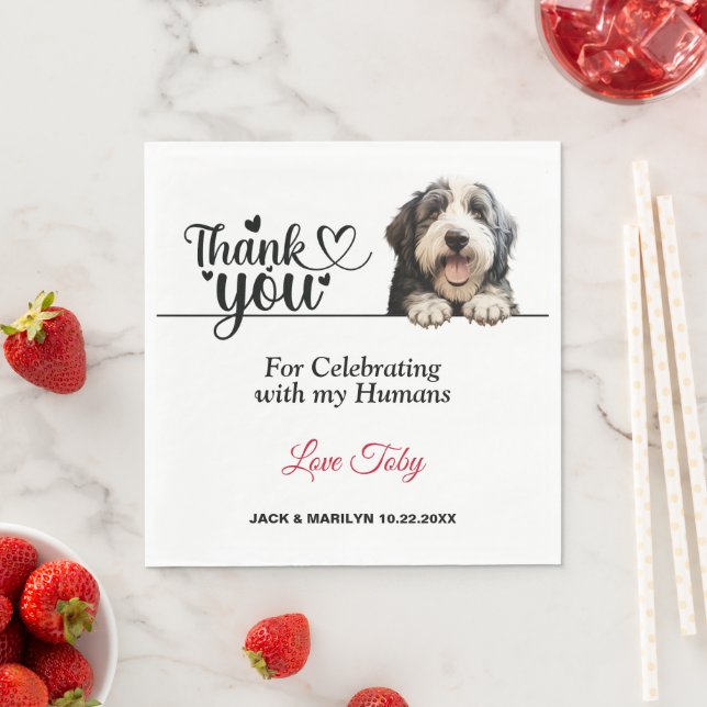 Guardanapos com Foto de Old English Sheepdog (Insitu)