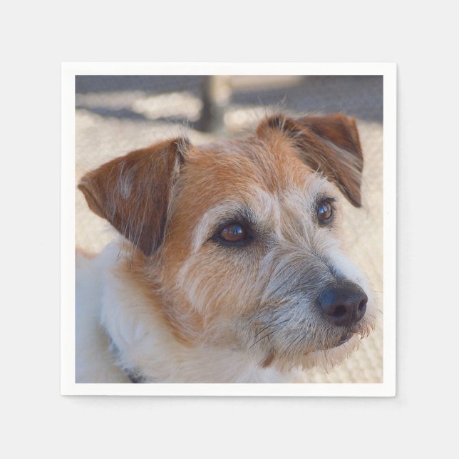 Guardanapos de cães bonitos (Frente)