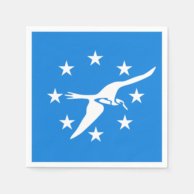 Guardanapos de papel com bandeira de Corpus Christ (Frente)