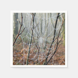 Guardanapos de papel da teia da aranha-de-jardim-e