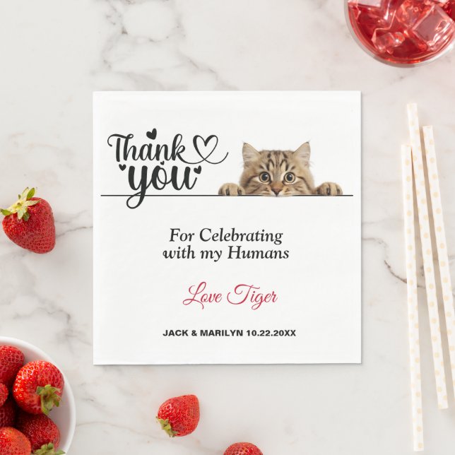 Guardanapos de papel de gato espreitando com listr (Insitu)
