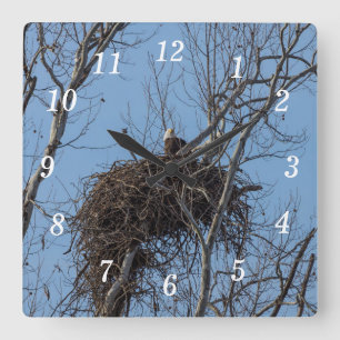 Guardando Relógio de Parede da Águia