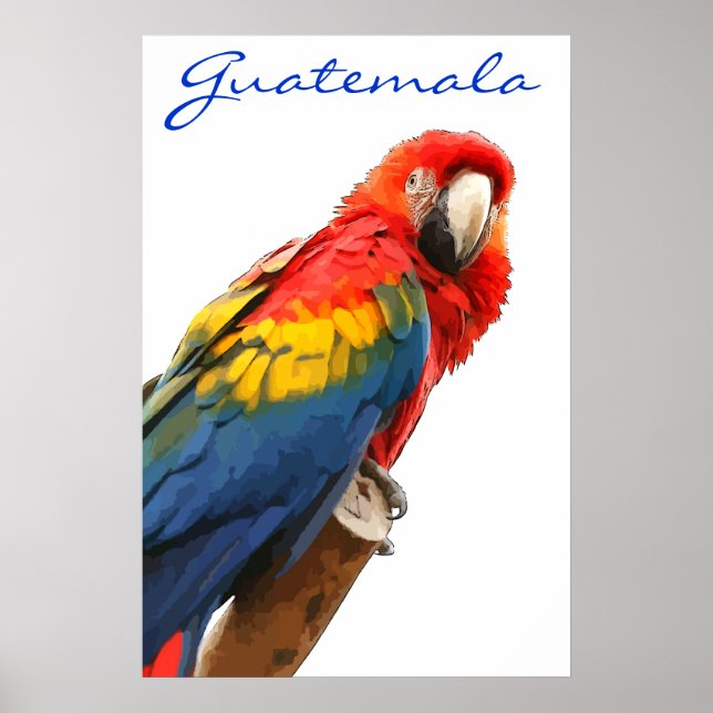 Guatemala Scarlet Macaw Poster (Frente)