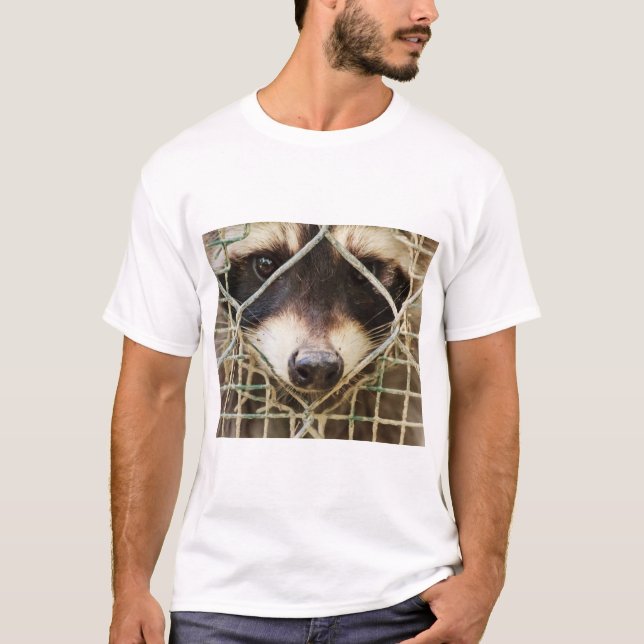 guaxinim em camisetas (Frente)