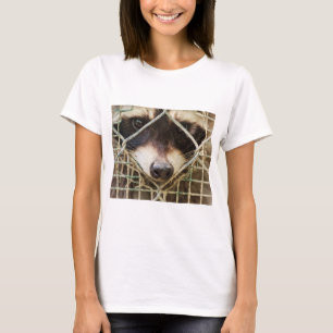 guaxinim em camisetas