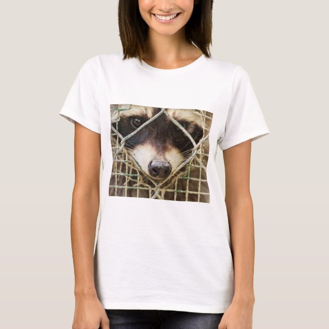 guaxinim em camisetas (Frente)