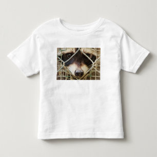 guaxinim em Toddler Fine Jersey T-Shirt