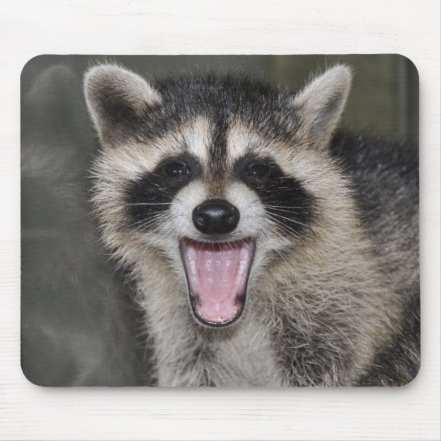Guaxinim Mousepad - #1025 (Frente)