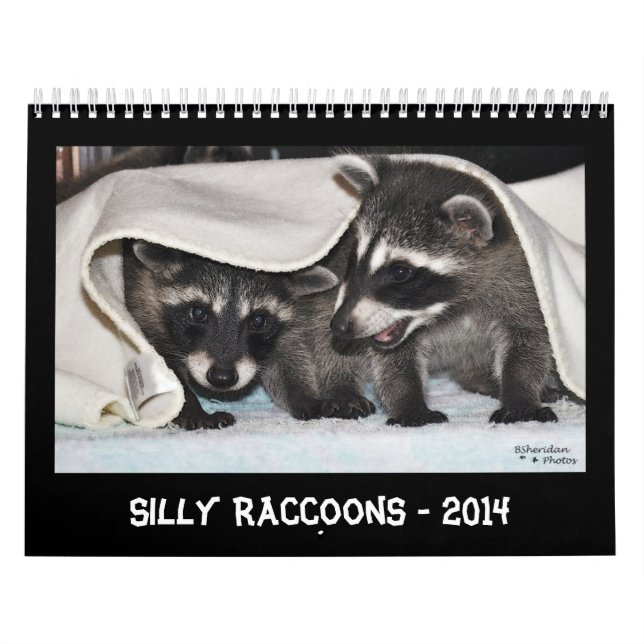 Guaxinins parvos - calendário 2014 (Capa)