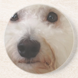 Gucci - um Bichon Frise - porta copos