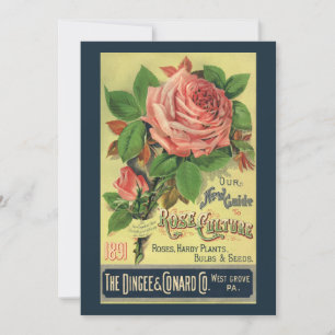 Guia Antigo da Arte da Capa do Livro de Cultura de