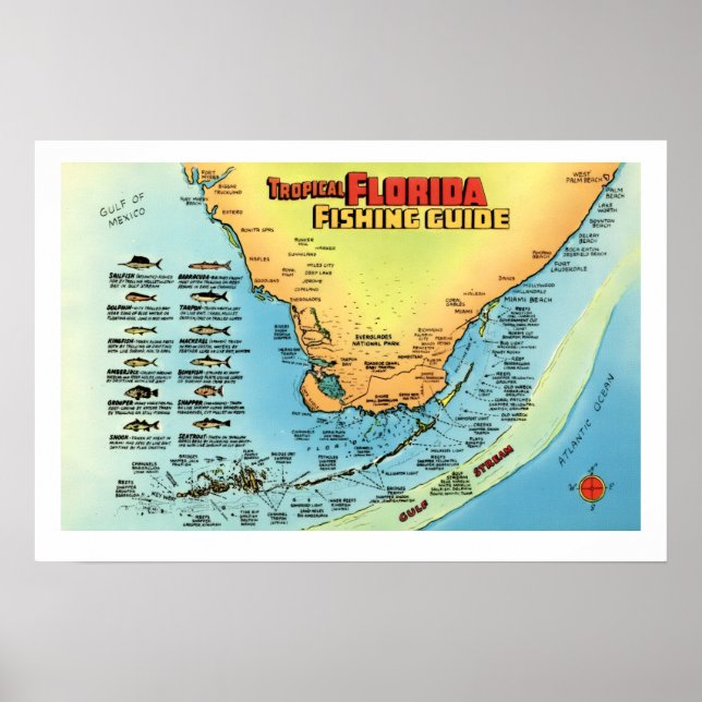 Guia de Pesca da Flórida 16x24 Impressão de Poster (Frente)