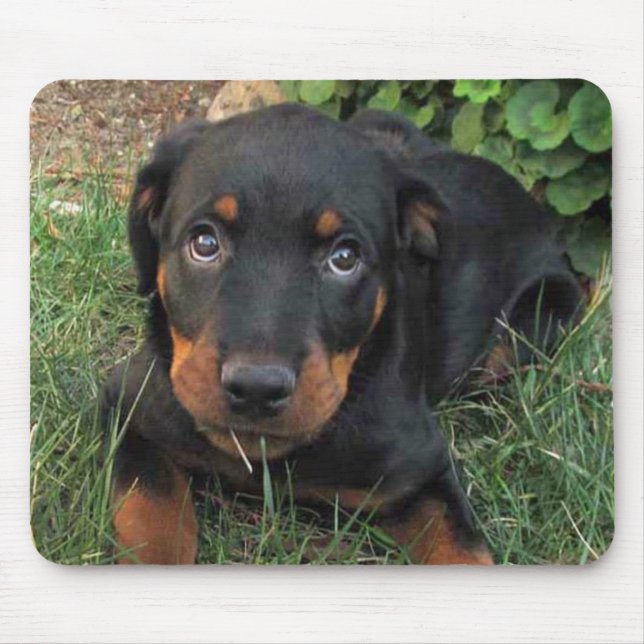 Guilty Rottweiler Puppy Mouse Pad (Frente)