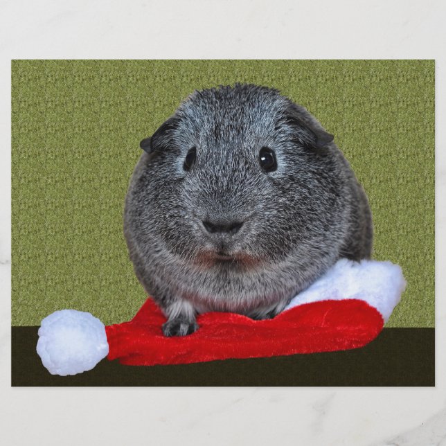 Guiné Pig Christmas (Frente)