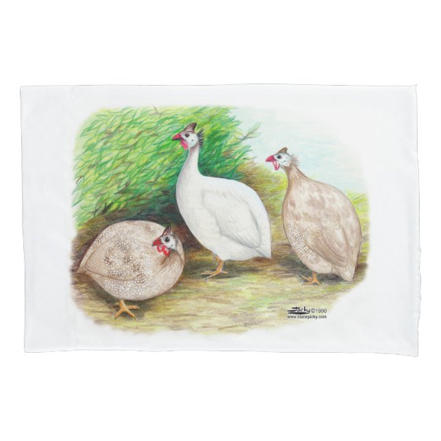 Guineense Fowl Outside (Frente)