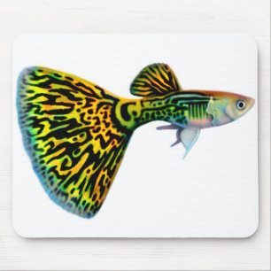 Guppy masculino Mousepad de Snakeskin da cobra