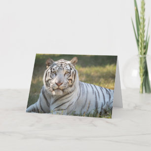 Gus - cartão - saudação personalizável