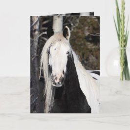 Gypsy olha para fora - Cartão de Saudação