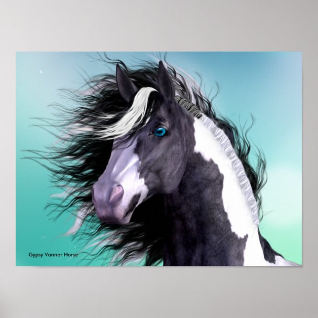 Gypsy Vanner Horse 16 x 12 Poster (Frente)