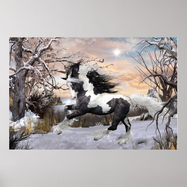 Gypsy Vanner Horse Poster (Frente)