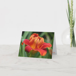 H. Camadas de cartão de nota do amor