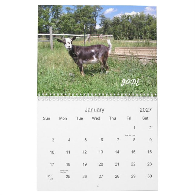 H.H. Calendário das cabras 2010 do jardim (Jan 2027)