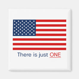 Há apenas uma bandeira americana. Íman
