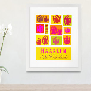 Haarlem Tulips Países Baixos Holland Poster