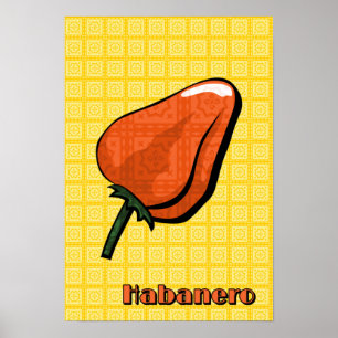 Habanero Chili Pepper Poster